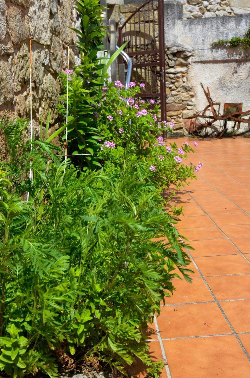 Sursum Corda Hotel Ribeira Esterno foto